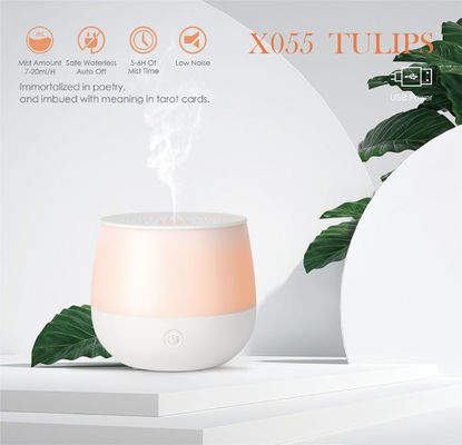 Delko Ultrasonic Aroma Diffuser - Imagine Essential Oil Rechargeable Diffuser 80 ml in Iridescent supplier