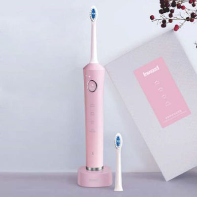 Electric toothbrush replaceable intelligent timer powered by acoustic technology waterproof rechargeable toothbrush supplier